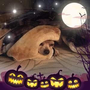 Meet your Posher, Destiny